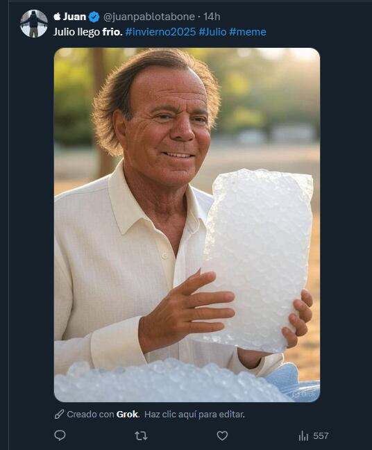 Estallaron los memes de julio (Foto: Captura X/@@juanpablotabone)