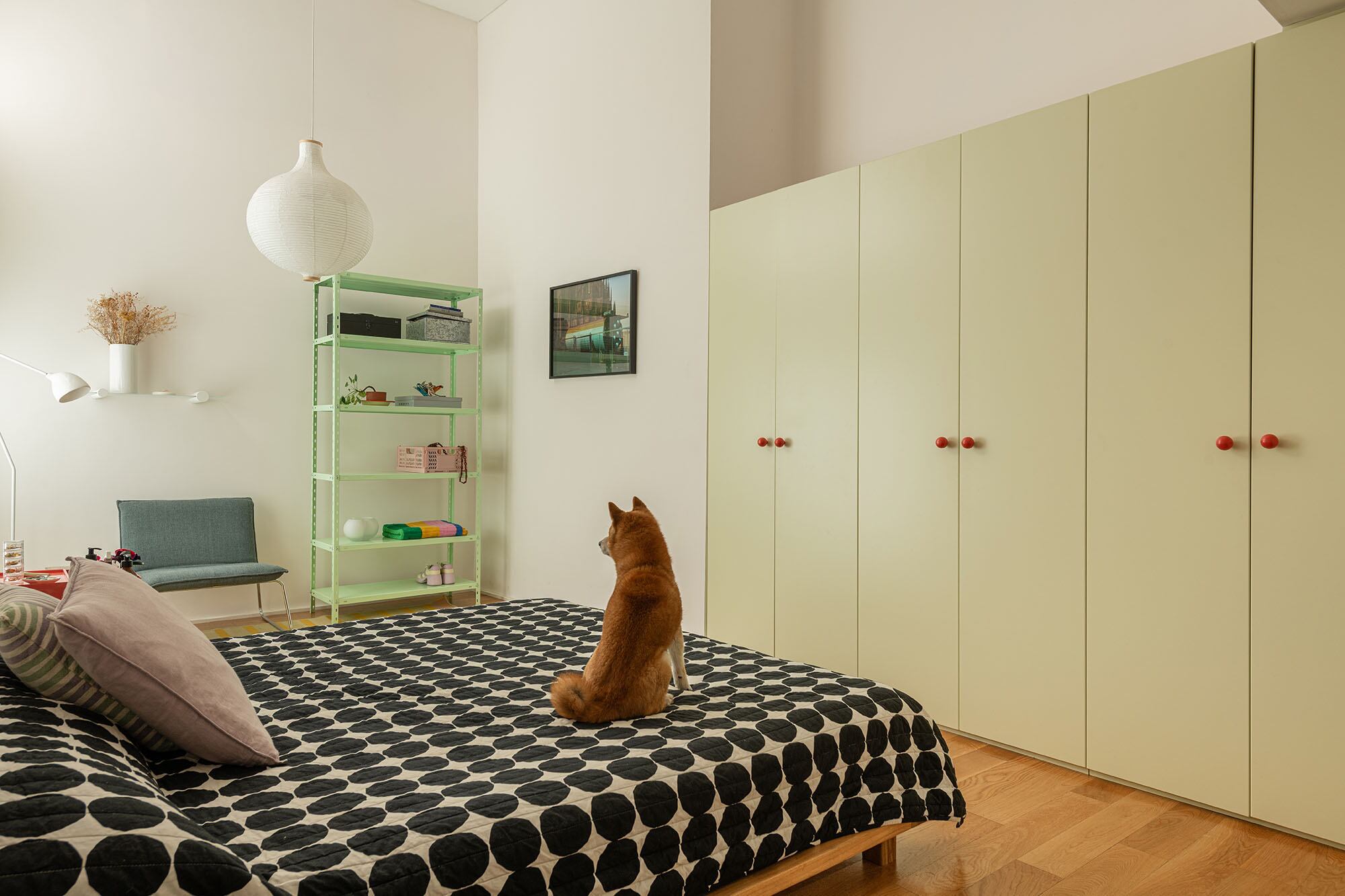 Junto a la estantería verde (Caos), una fotografía enmarcada de Maia Croizet.