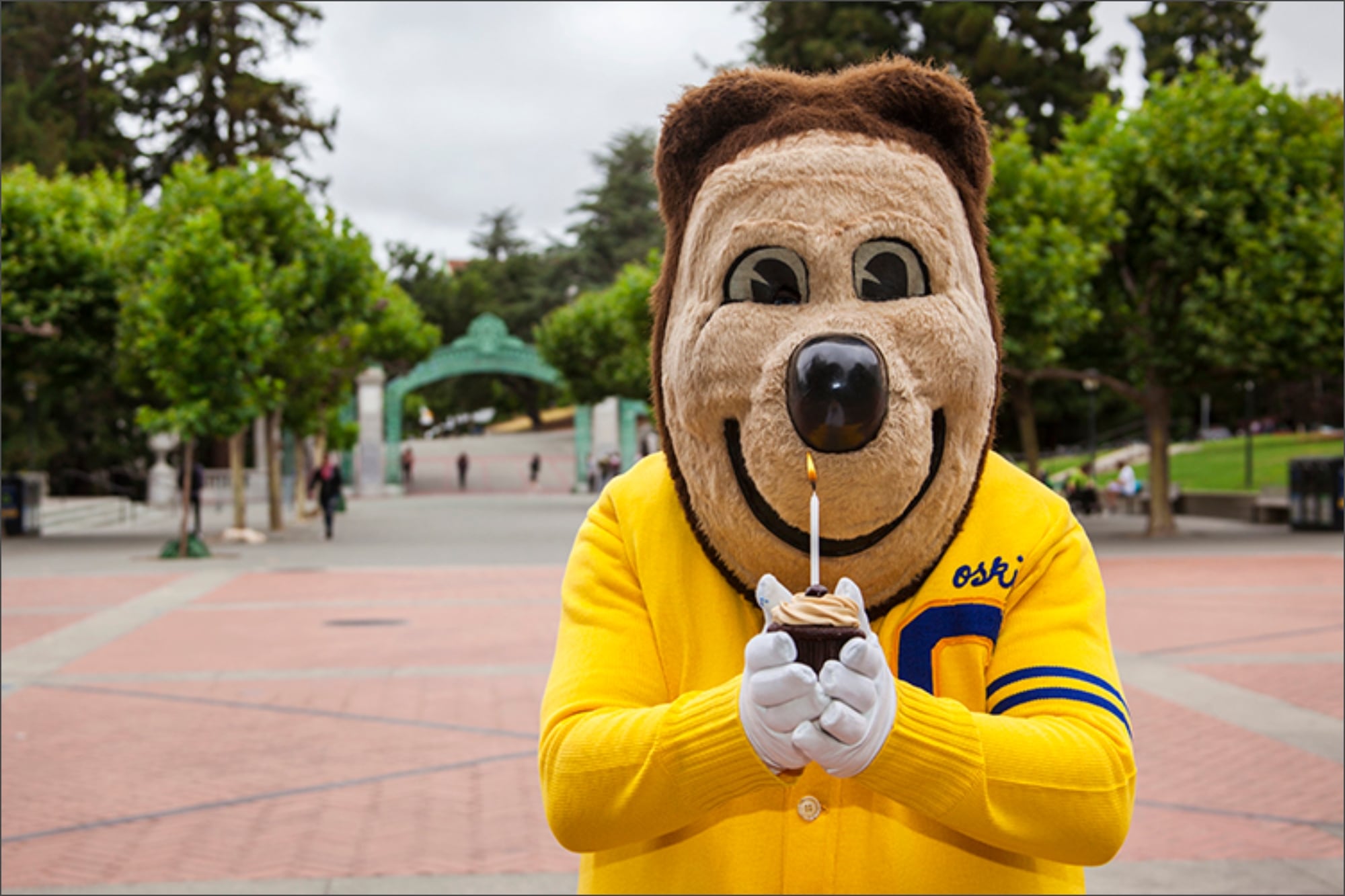El secreto mejor guardado de UC Berkeley desde 1941 fue revelado en Instagram: ya todos saben quién es Oski