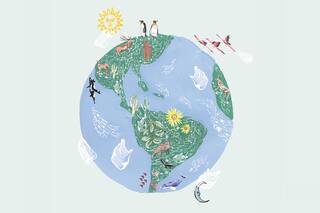 Ecodesafíos 2019: 10 consignas para ayudar al planeta este año