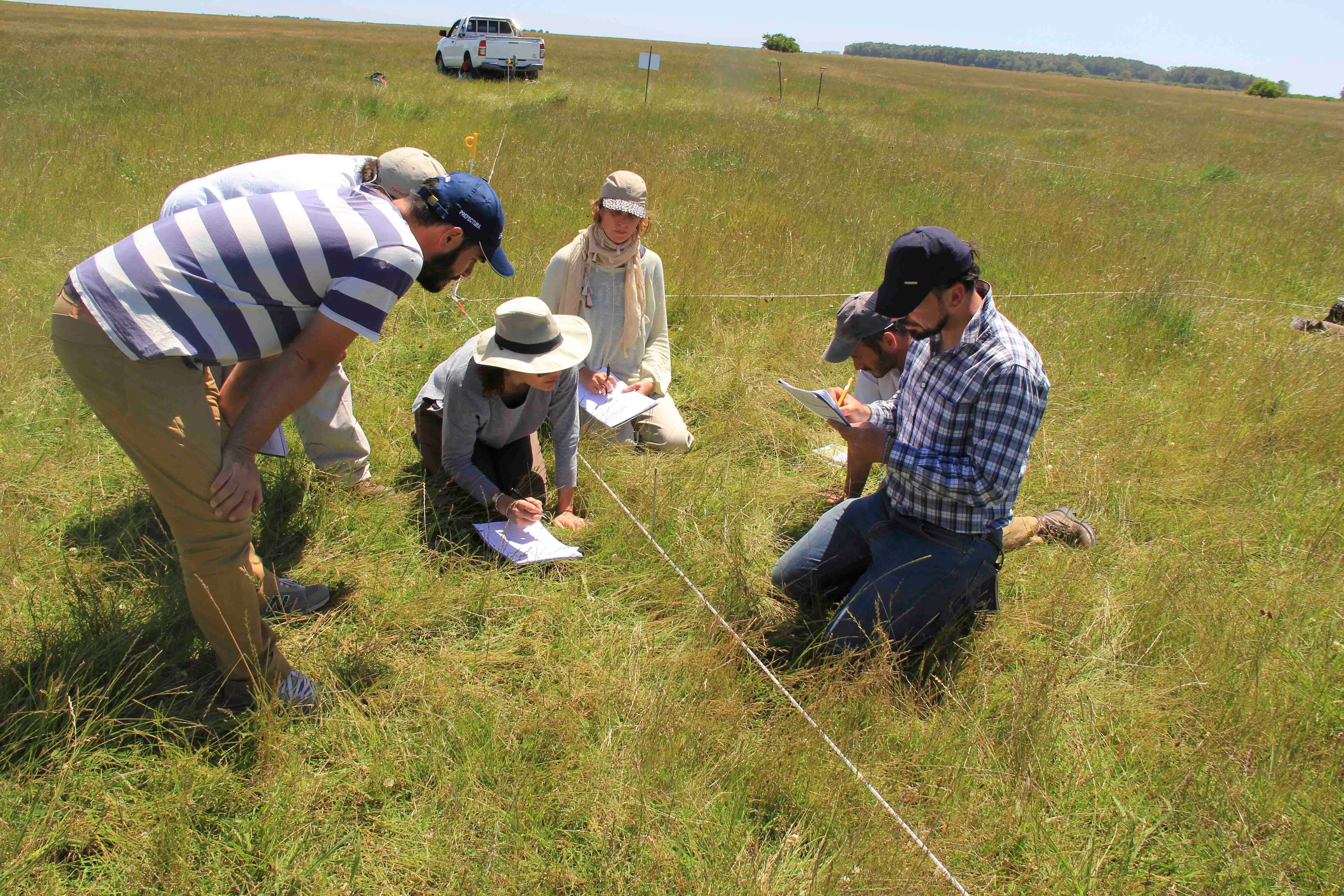Buscan mejorar 500.000 hectáreas: un programa concretó la primera emisión de créditos de carbono