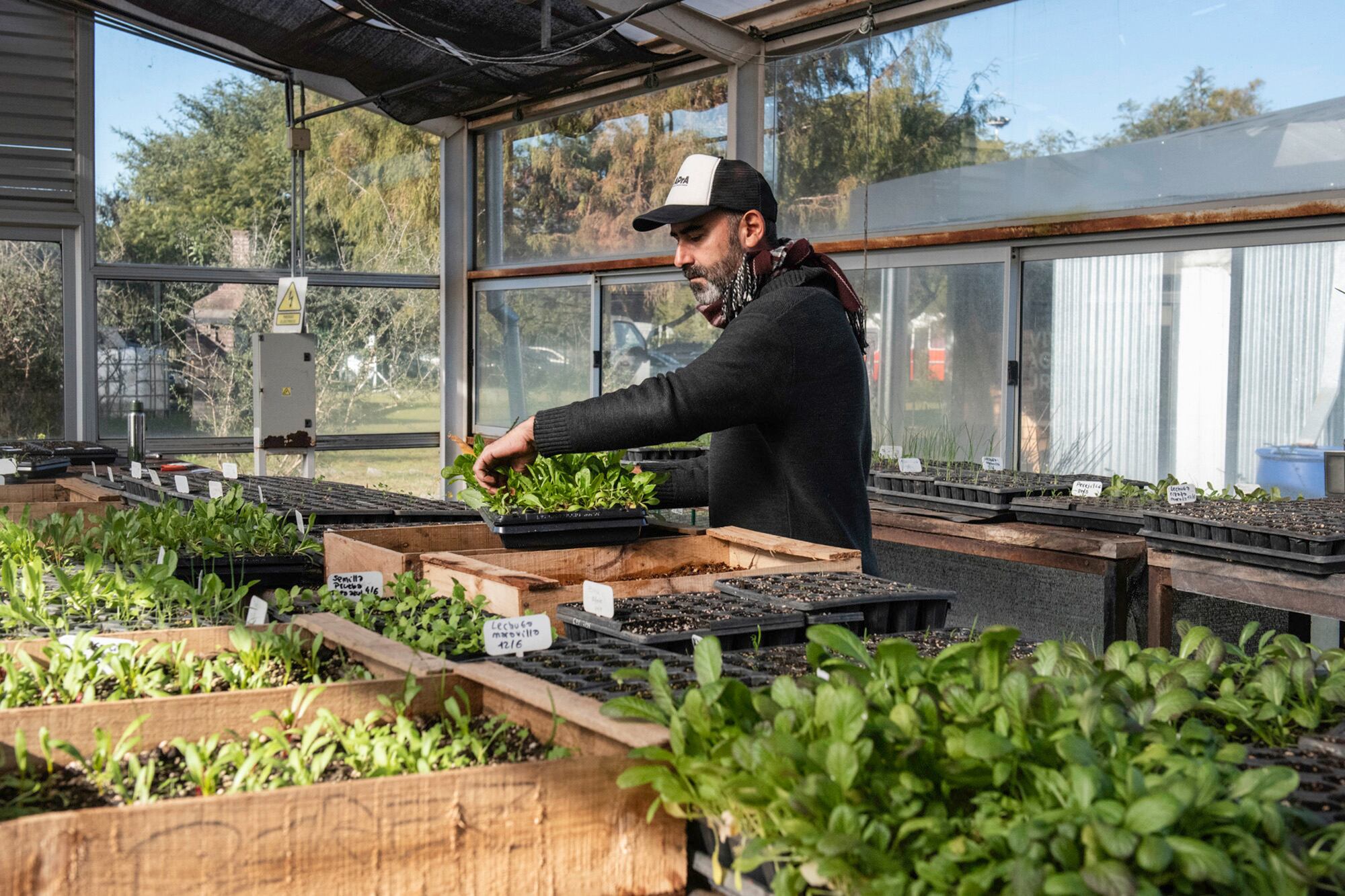 El trabajo dentro de los invernáculos
