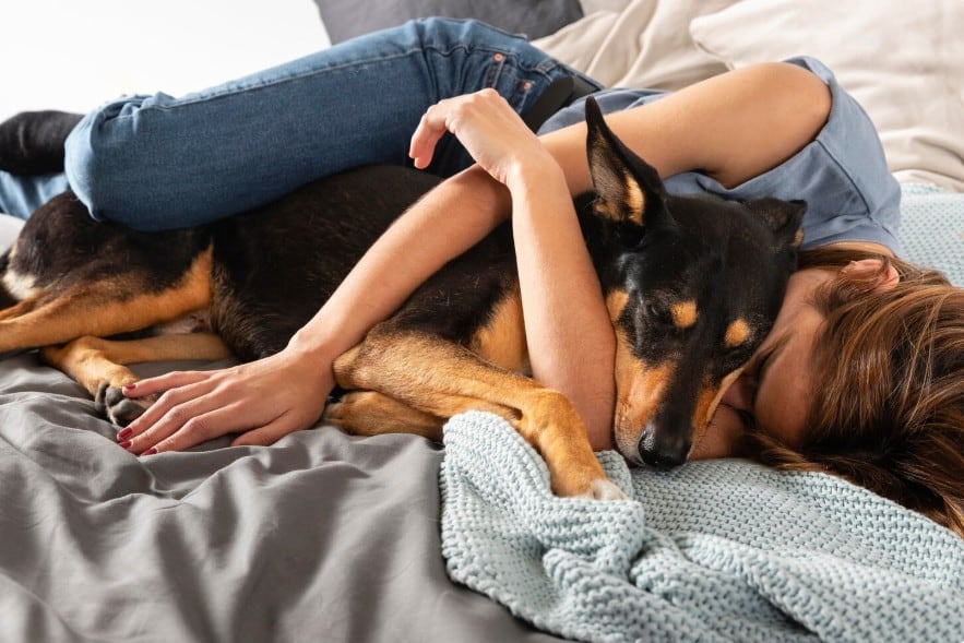 Qué significa que tu perro quiera dormir con vos, según los expertos (Foto: Freepik)