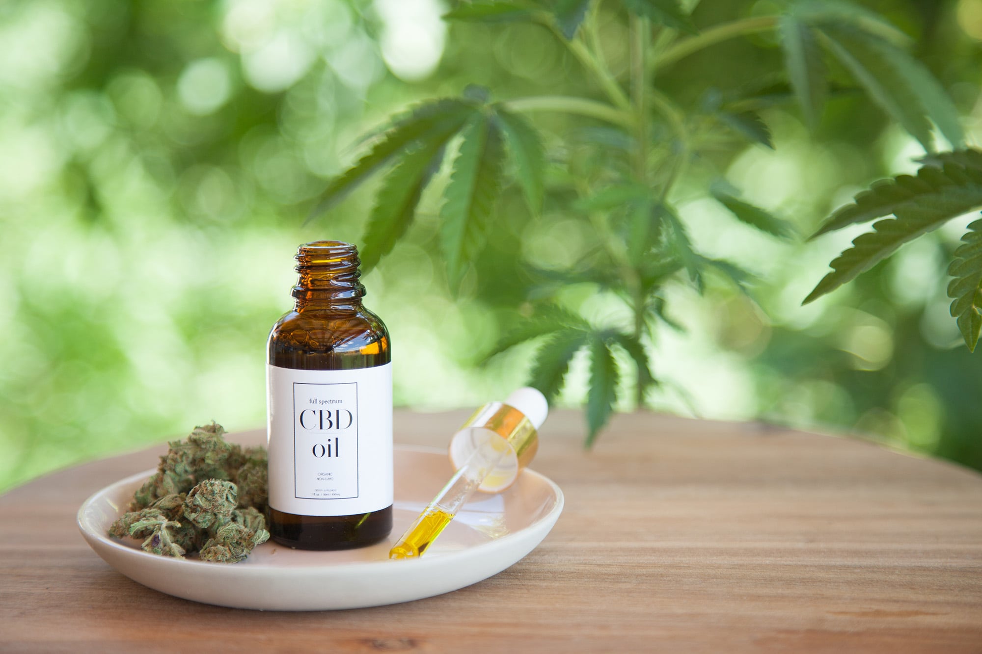 Antes de usar la medicina cannábica consultar con los especialistas para su uso seguro