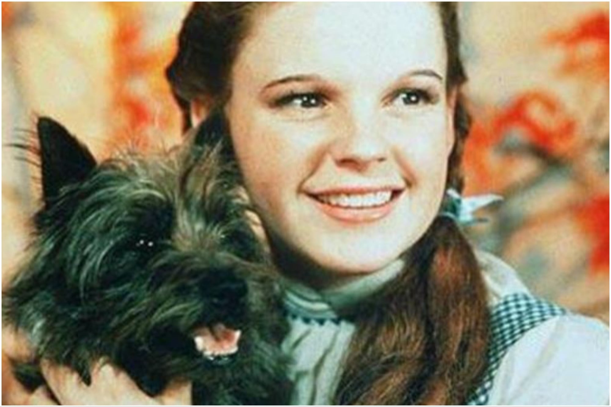 Quién era Toto, uno de los personajes caninos más queridos de la cultura popular