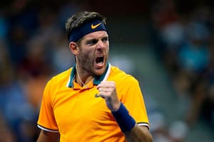 Del Potro-Coric, US Open: el tandilense ganó por demolición y está en cuartos