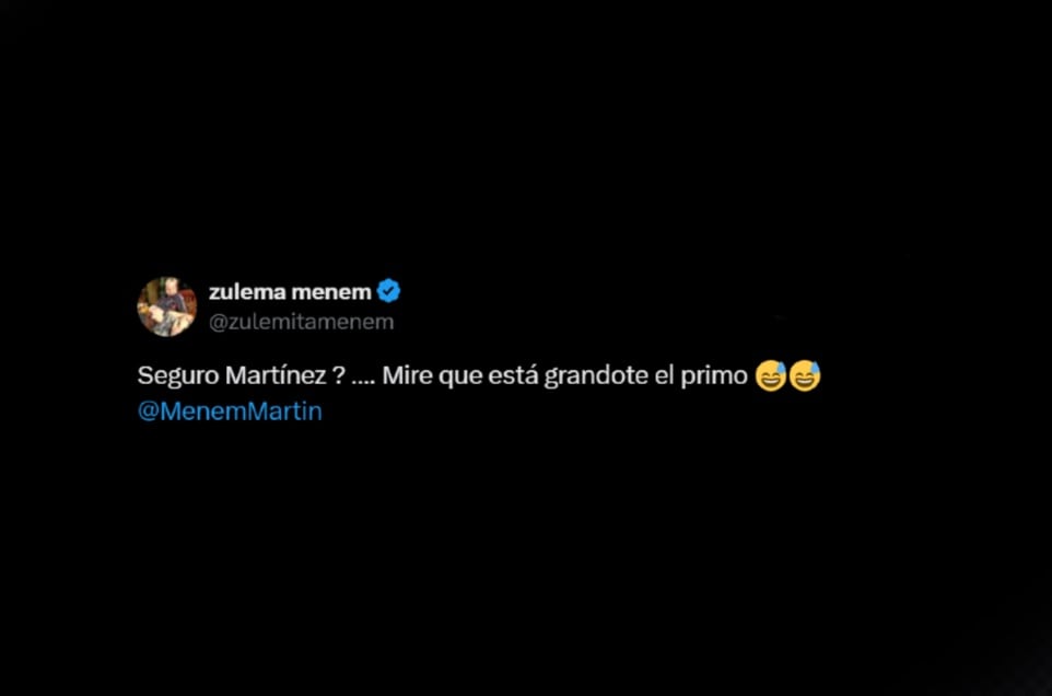 El mensaje de Zulemita Menem para Germán Martínez tras su cruce en Diputados con el presidente de la Cámara baja