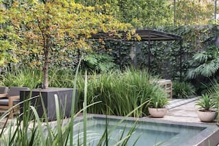 Salta: un jardín urbano de estirpe colonial