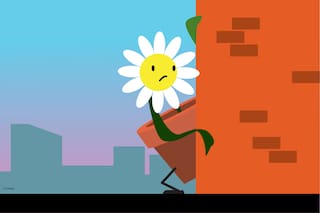 Una tímida primavera