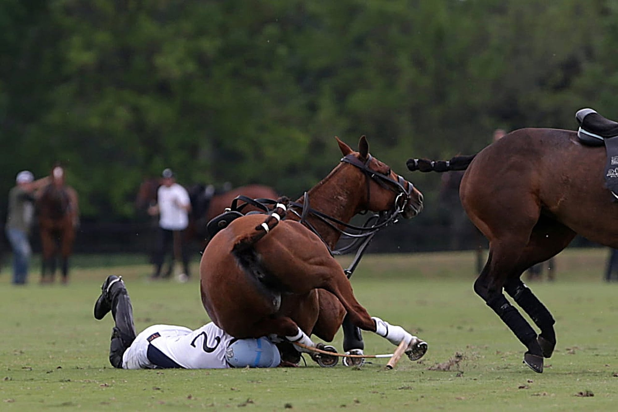 Muchas veces el caballo, en la rodada, suele pasar por arriba del jugador con sus 500 kilos