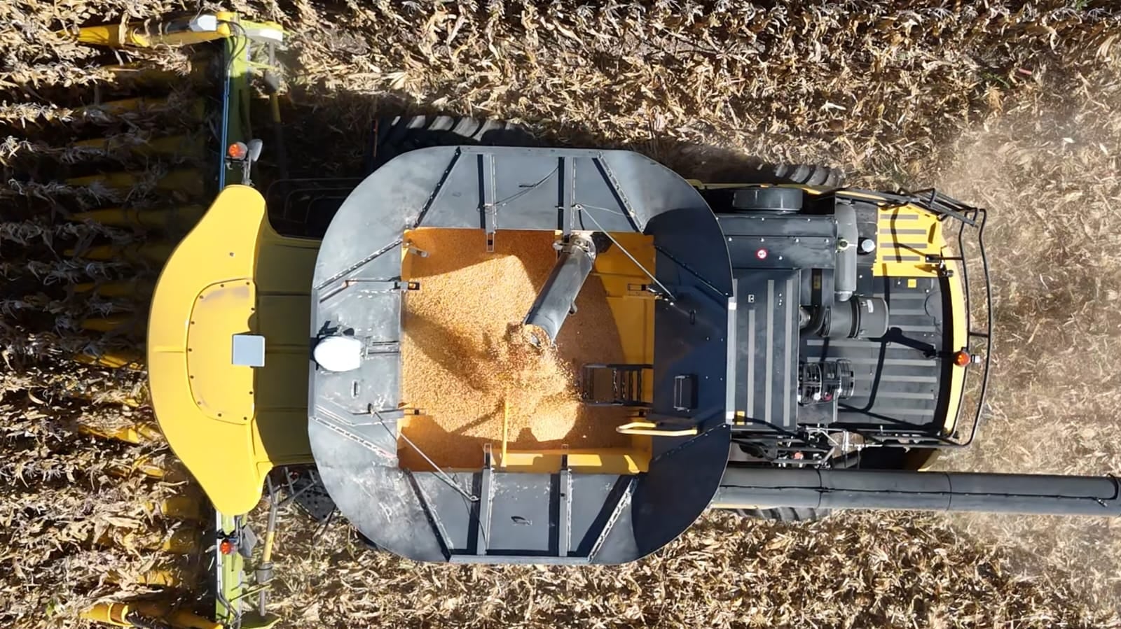 O rendimento foi 8,3% superior ao do ano passado