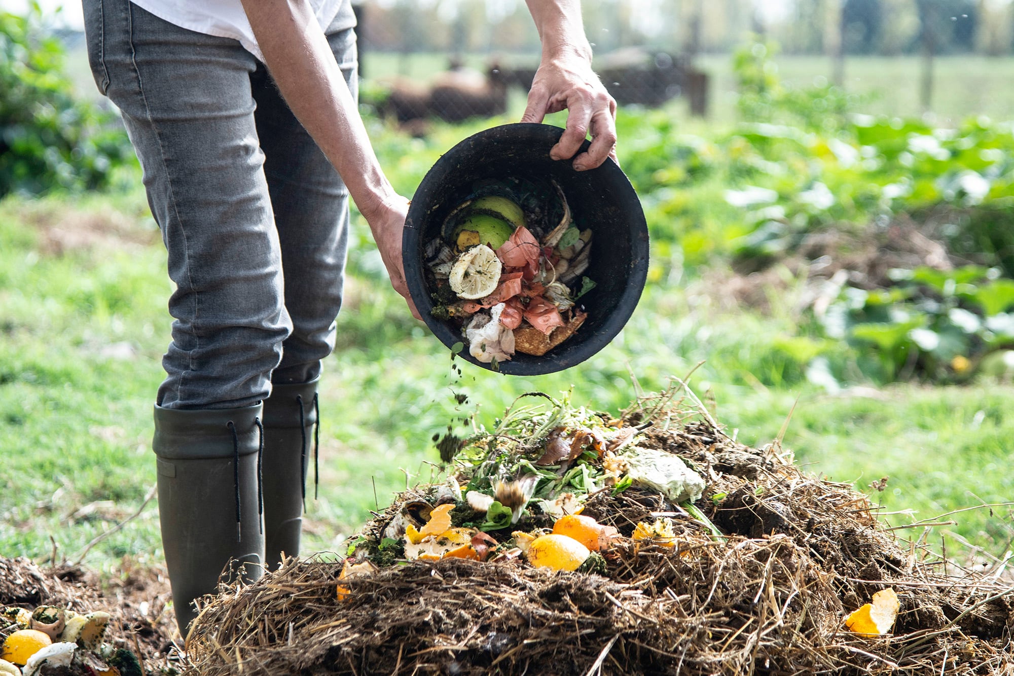 La materia orgánica no desaparece cuando deja de ser útil en la cocina; puede seguir aportando al ciclo natural del jardín