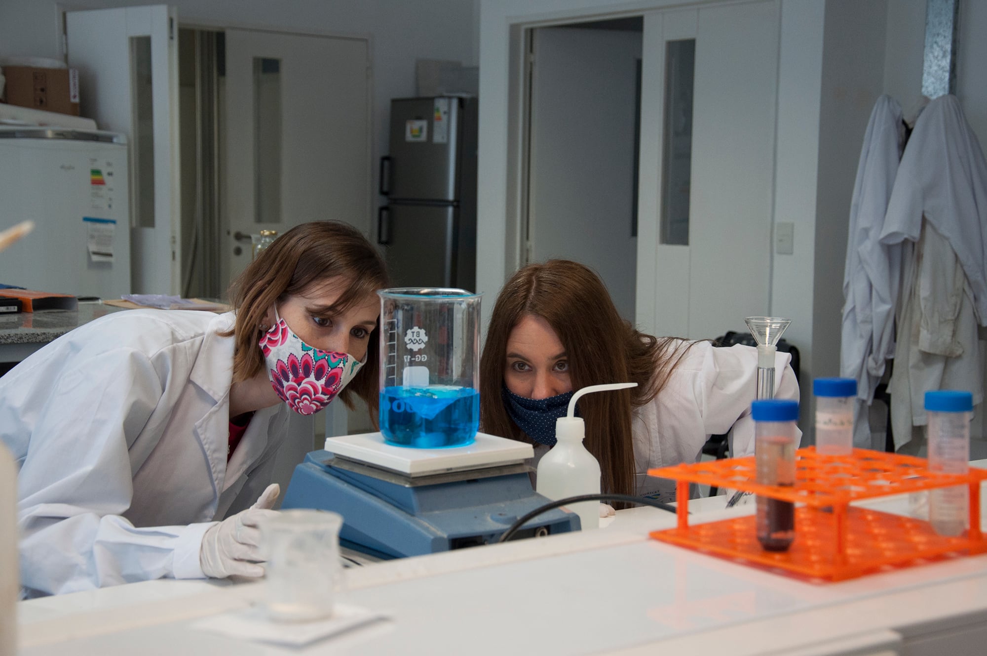 La génesis de la empresa radica en una combinación poco frecuente: la ciencia de los materiales y la fisiología del estrés en plantas