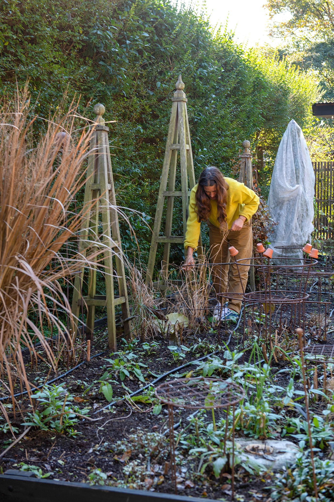La colocación de tutores en esta época permite adelantarse al desarrollo de las plantas y evitar problemas futuros