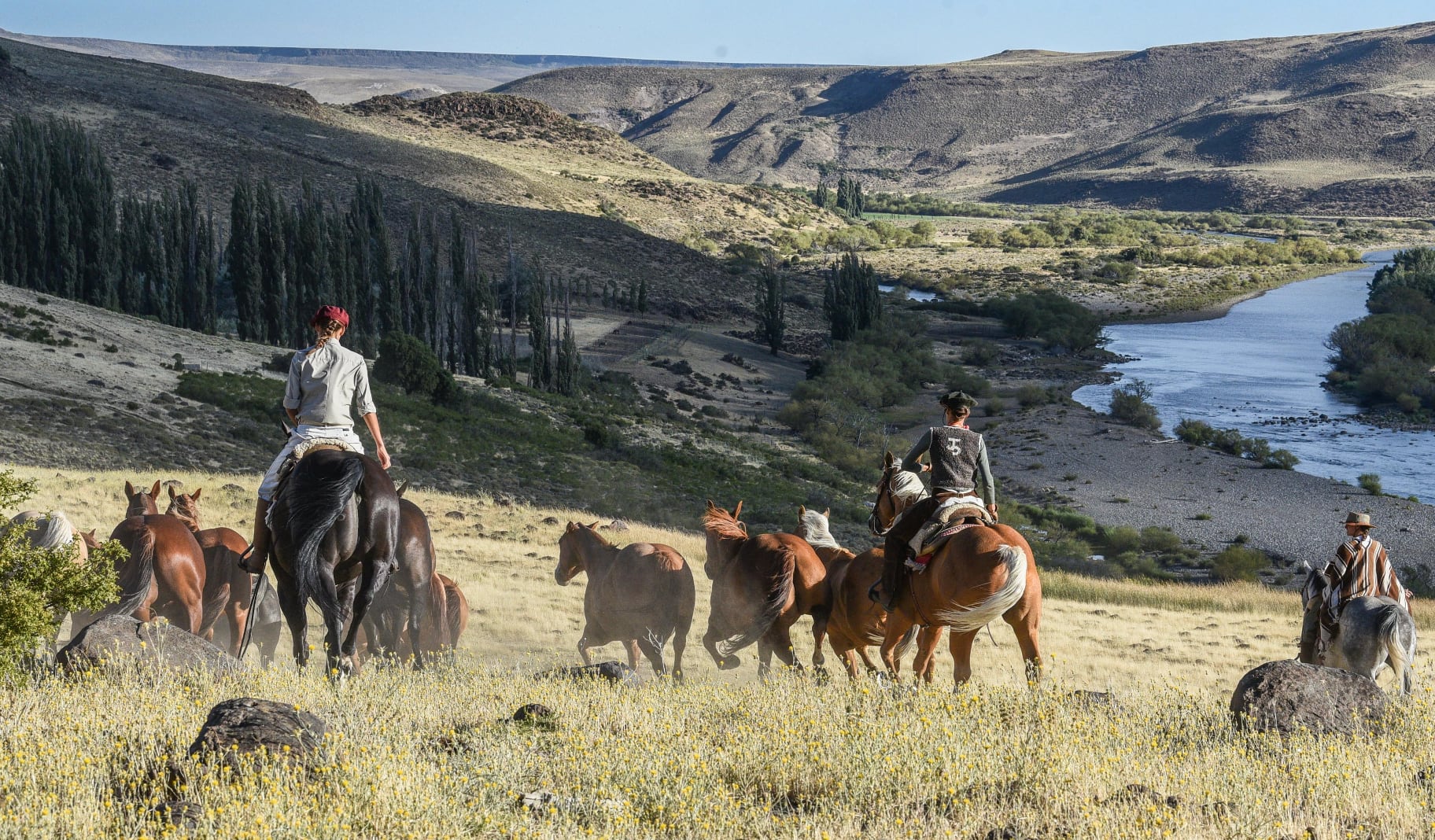 Cabezas estudió Equine Science y hoy impulsa una crianza inspirada en las técnicas de Monty Roberts
