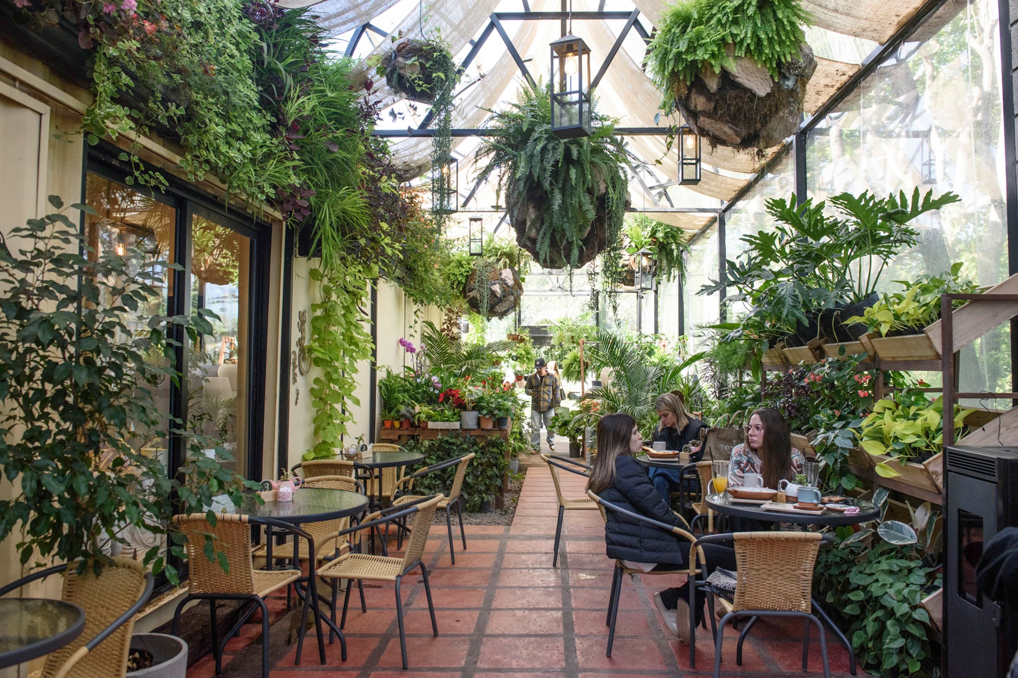El café entre plantas que dan un clima especial al lugar