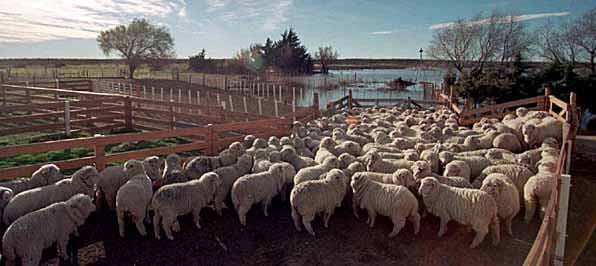 Frente a la incertidumbre, el clima es de cautela. “Estamos todos cruzando los dedos a ver qué es lo que va a pasar”, expresó Díaz