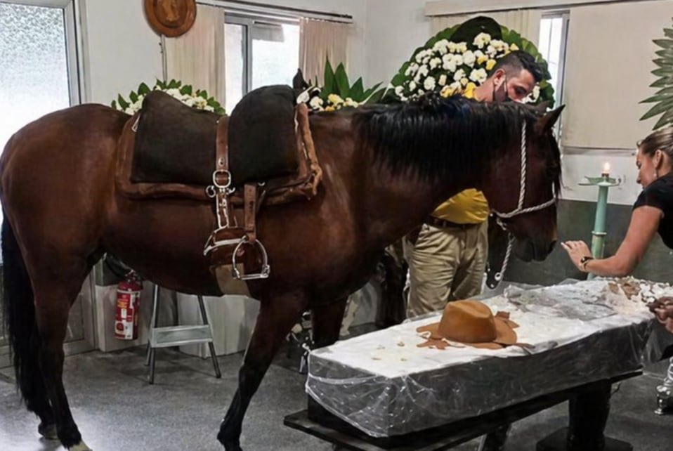 Una yegua asistió al funeral de su dueño en Brasil y su reacción frente al ataúd se volvió viral