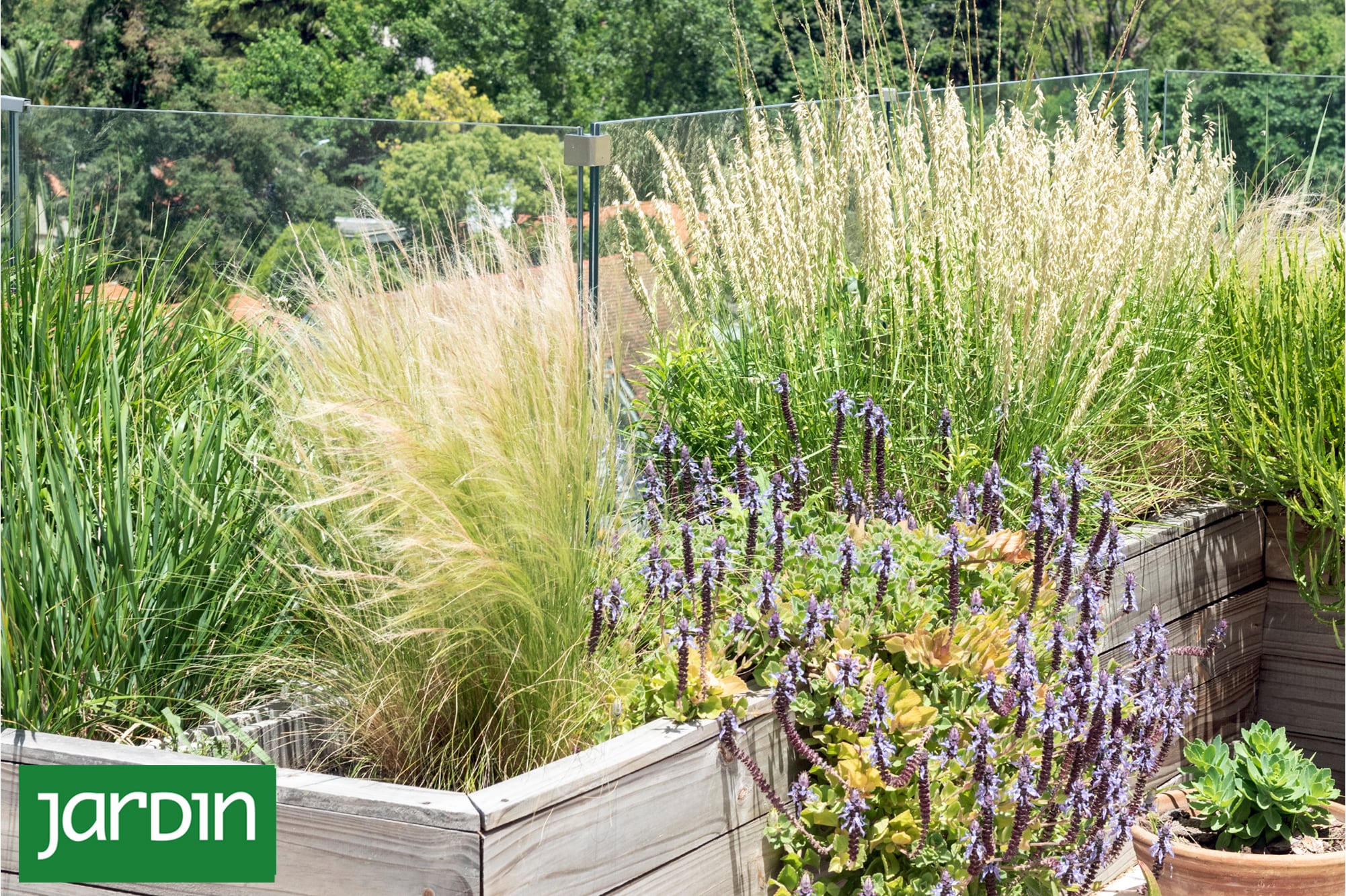Estas plantas hacen jardines más fuertes y fáciles de mantener
