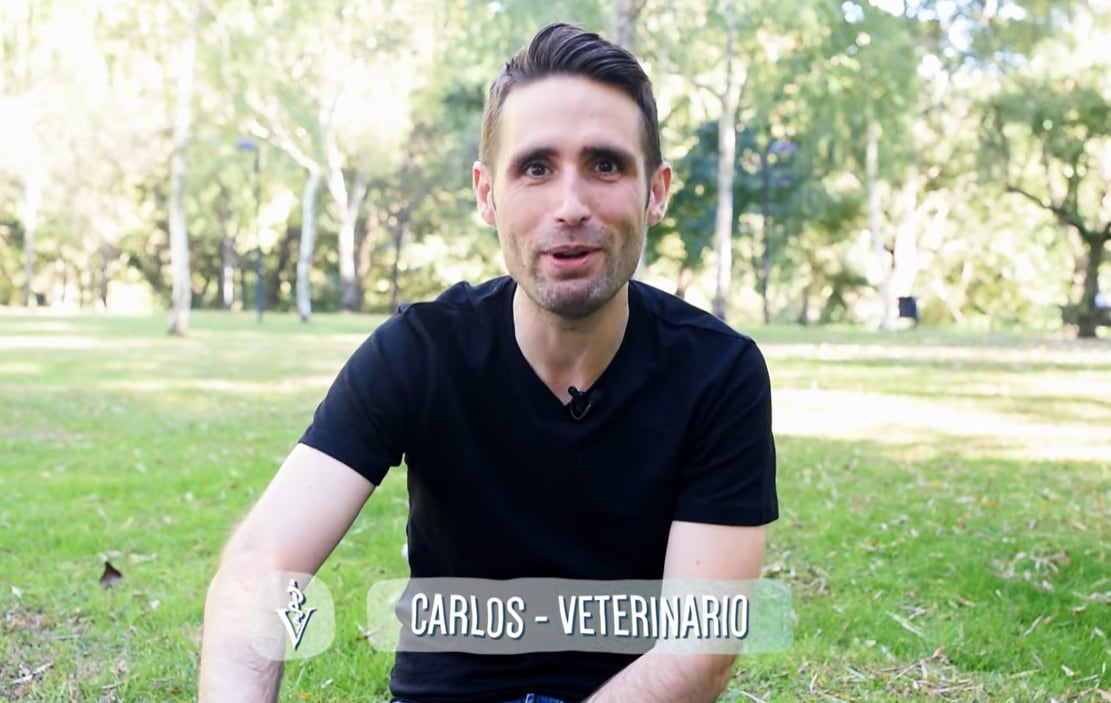 Carlos Gutiérrez desmitificó el relato sobre los gatos negros