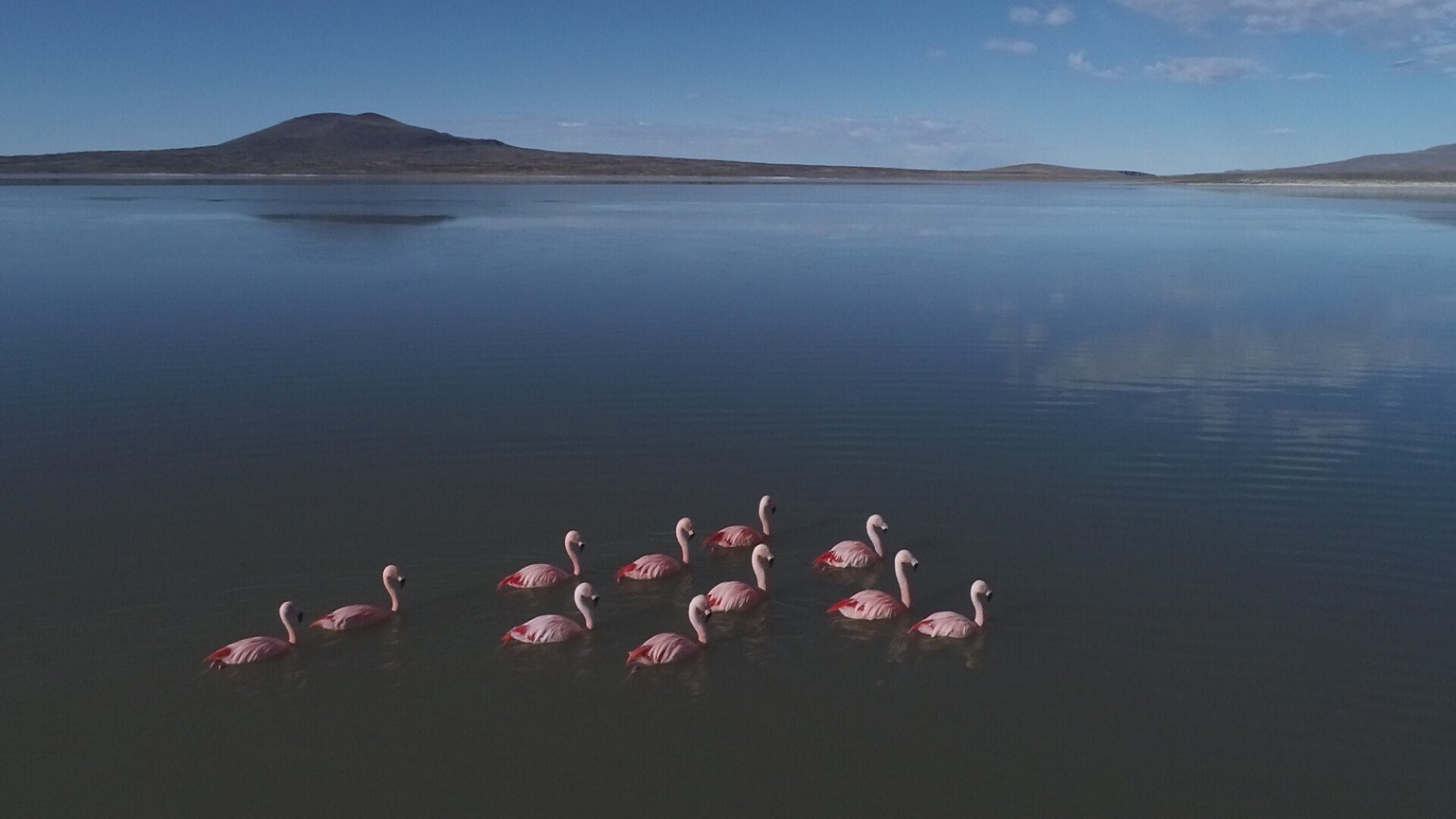 El cerro Mellizo Sur ofrece un recorrido de 3,5 kilómetros que se puede realizar en menos de cuatro horas