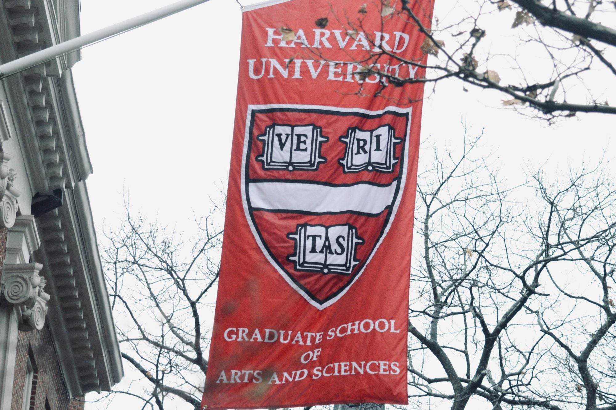 El Departamento de Estado también determinó que los consulados reanuden los procesos de las visas de estudiante para la Universidad de Harvard