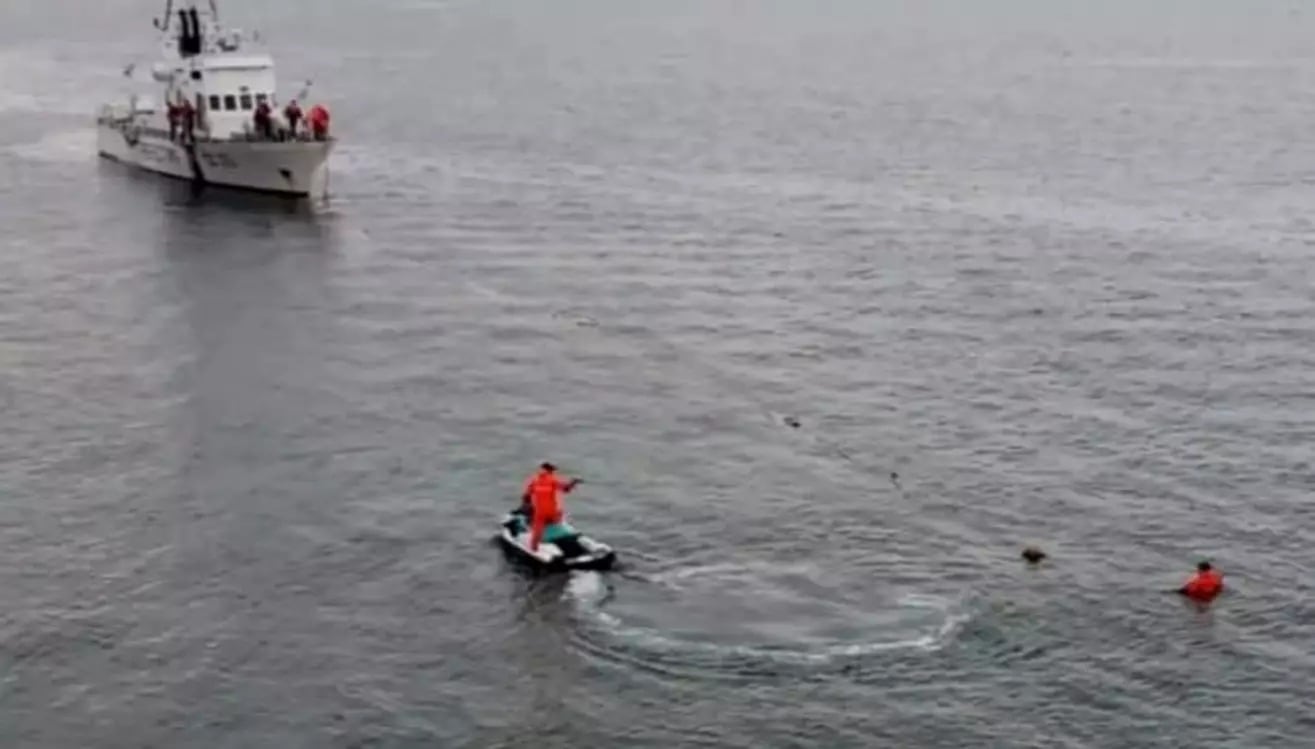 Puerto Madryn: buscan a una joven que se metió al mar a bucear y no volvió a la superficie