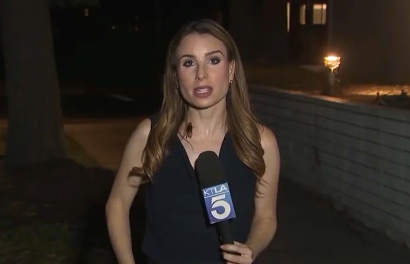 El desconcertante momento en que una enorme cucaracha se posó sobre una periodista durante una transmisión en vivo