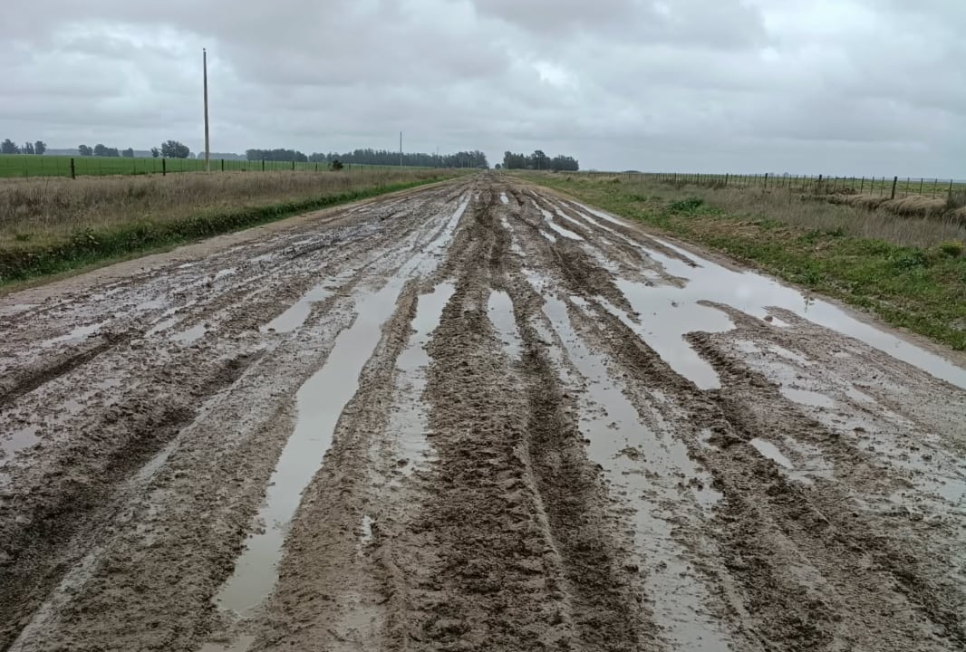 En las zonas más comprometidas, los caminos anegados dificultan el ingreso a los campos y el traslado de la producción, además de complicar la circulación de la personas que viven en los establecimientos