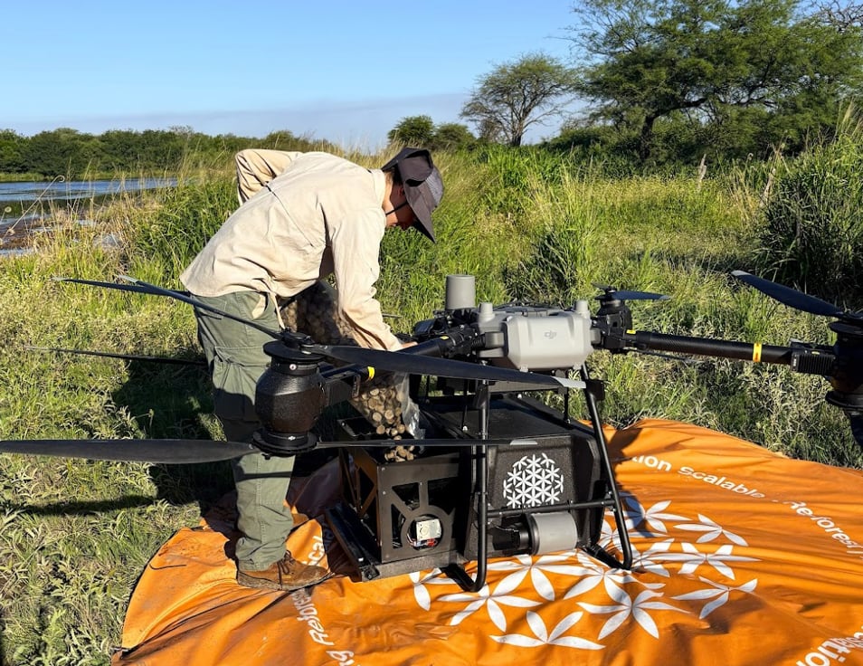 Destacaron que las semillas no viajan sueltas en los drones: se preparan en cápsulas biodegradables (iSeeds) que incluyen bioestimulantes para potenciar la germinación y establecimiento de las plántulas