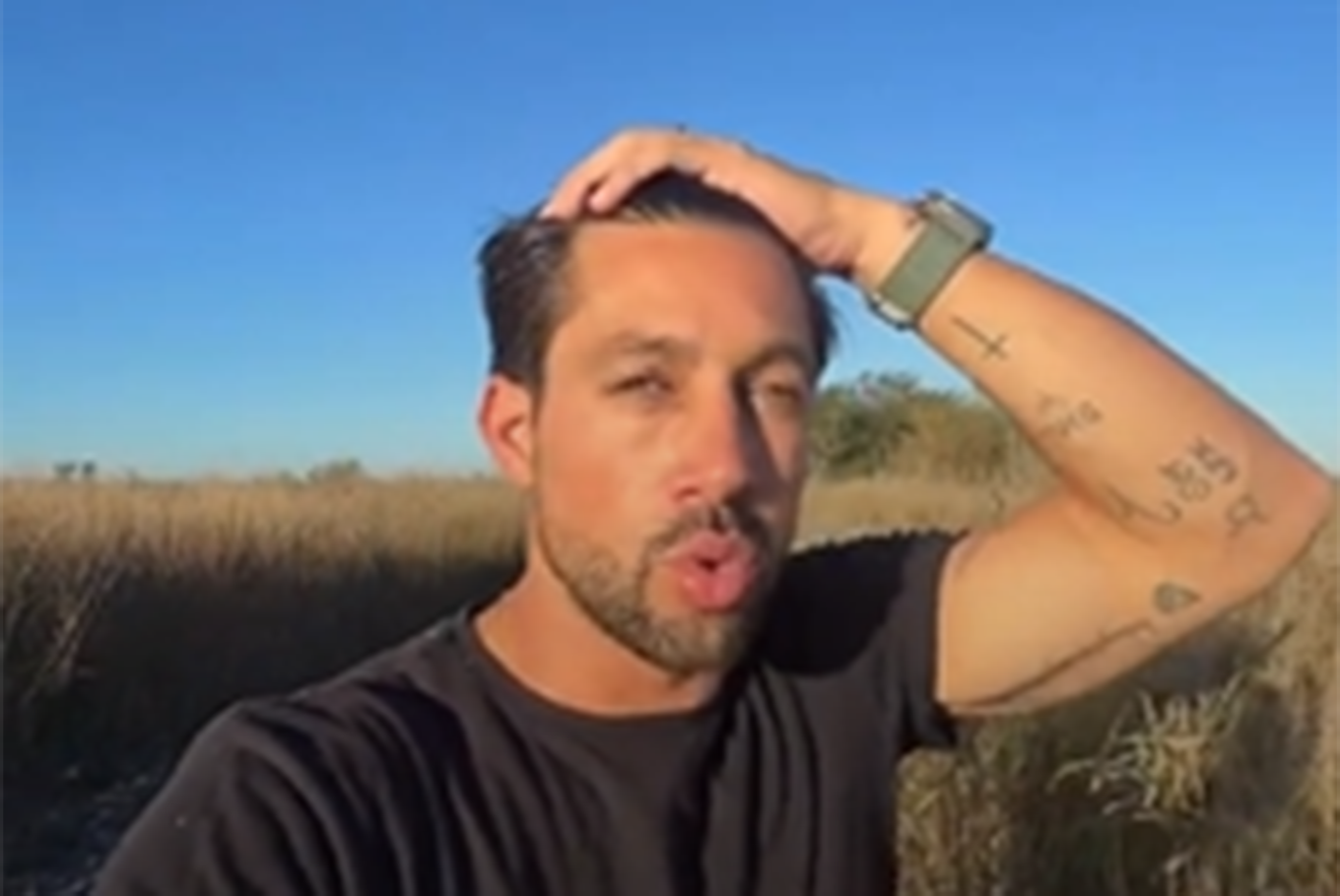 En un feedlot: encontraron los animales desaparecidos de un influencer e investigan una presunta maniobra fraudulenta