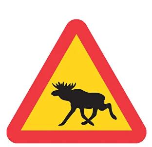 En Suecia se alerta a los conductores sobre la presencia de alces