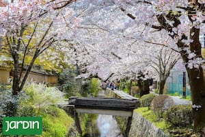 Seis destinos imperdibles donde la naturaleza reescribe las reglas del urbanismo