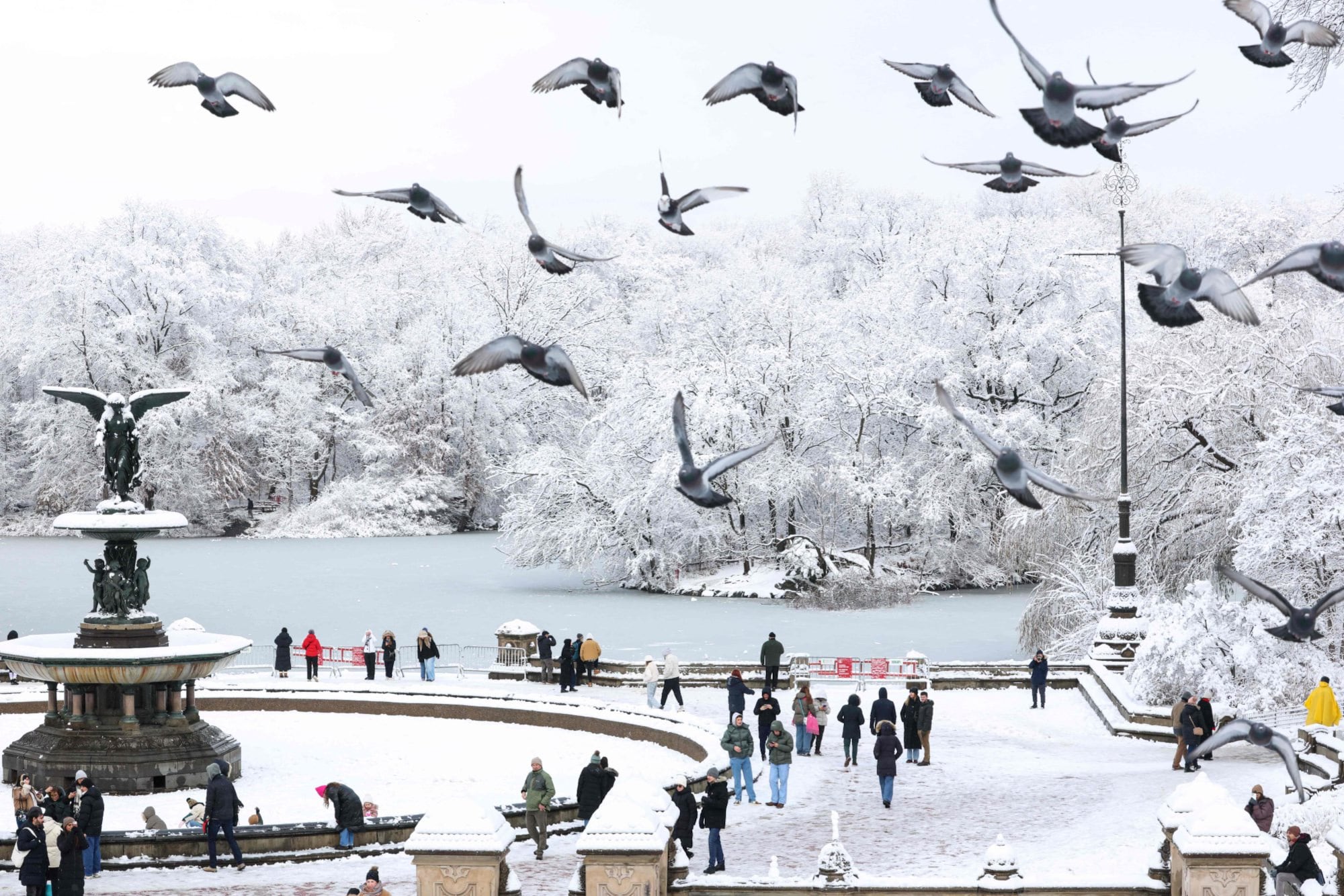 Nueva York: las impactantes imágenes del Central Park bajo la nieve