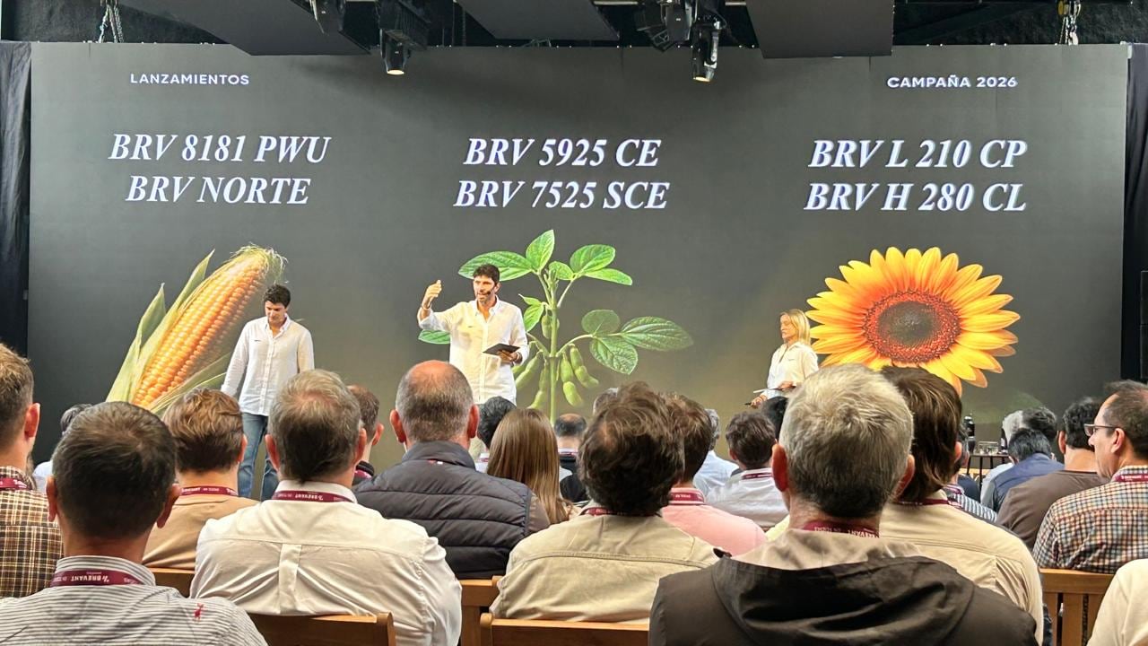 Brevant Semillas Presentó Híbridos de Maíz Tolerantes a la Chicharrita en Córdoba