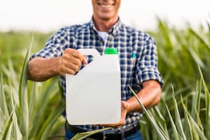 Cuál es la diferencia entre herbicida, fungicida e insecticida y cuándo aplicar cada uno