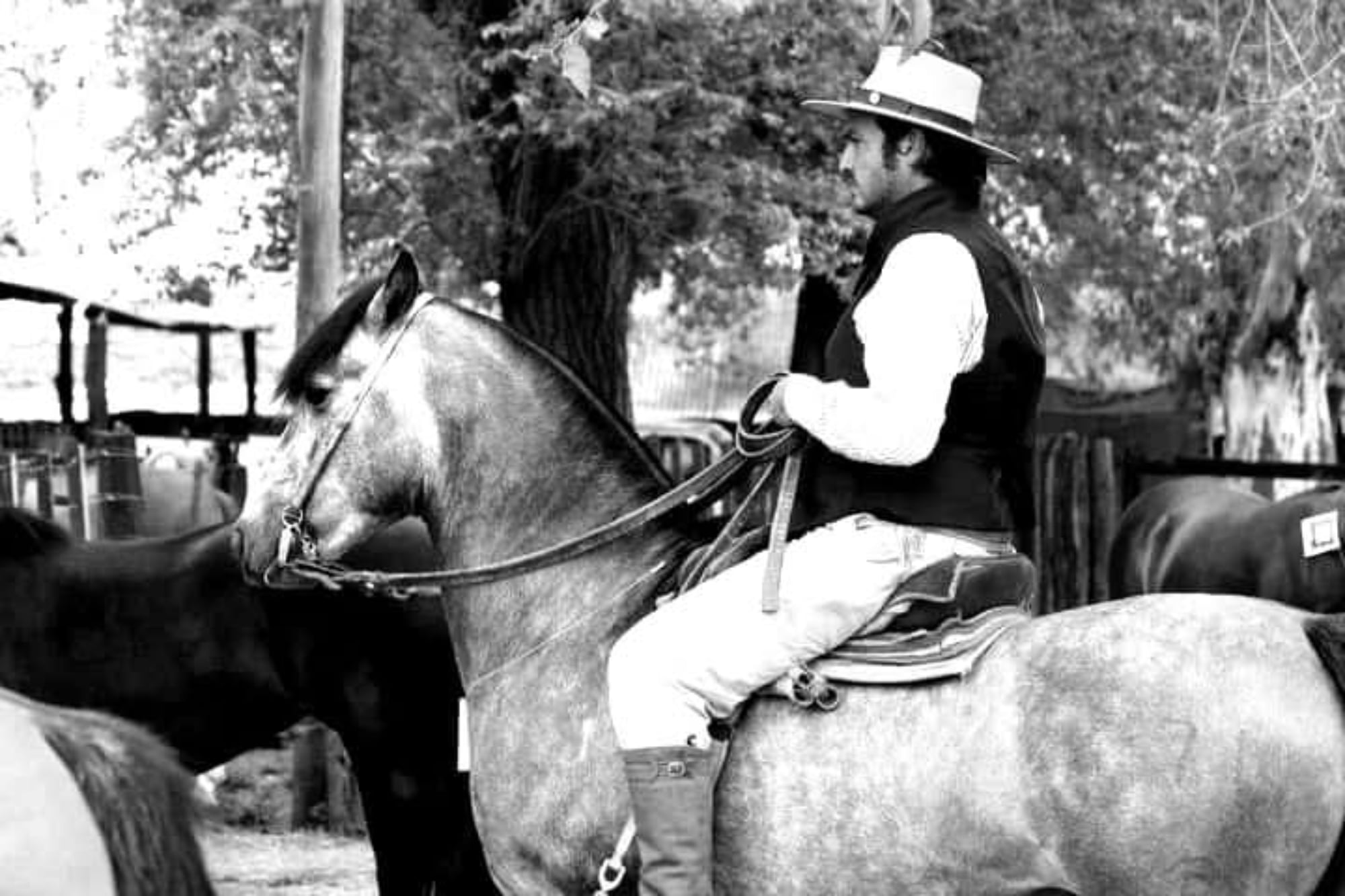 Según informaron, los Caballos Criollos volverán a tener un lugar destacado