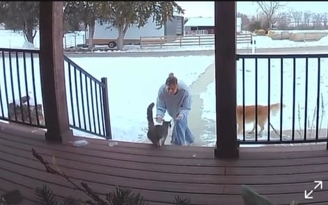 Escuchó un ruido extraño en la puerta de su casa y cuando fue a ver la cámara, no podía creer quién había vuelto