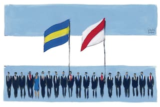 El problema somos nosotros