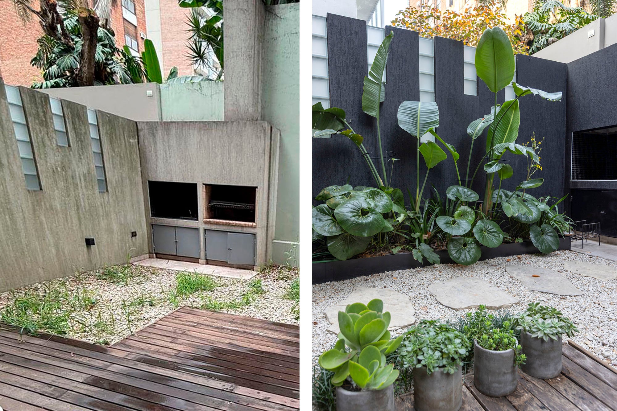 Un antes y después: un patio de piedras deslucido que se transformó en un recorrido con distintas texturas y especies