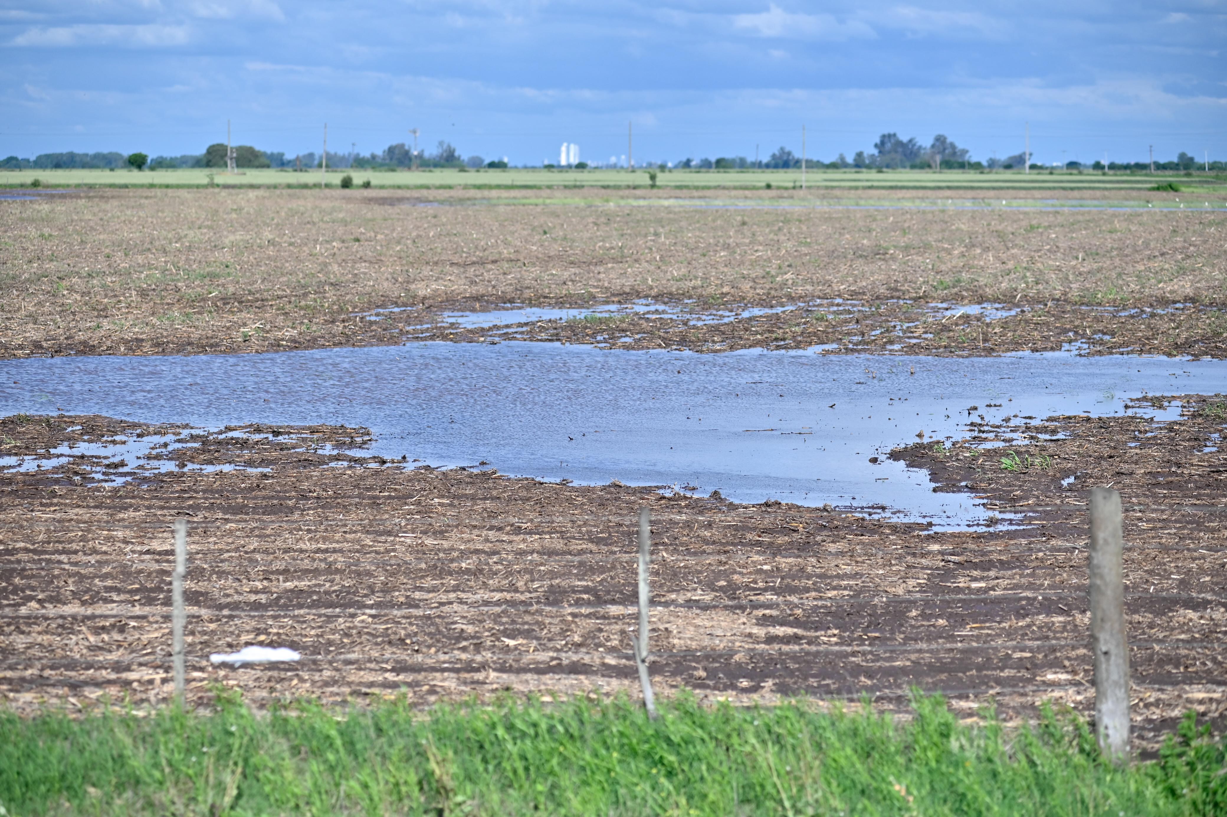 Un campo cercano a Rosario. Los productores aprovecharán para continuar labores