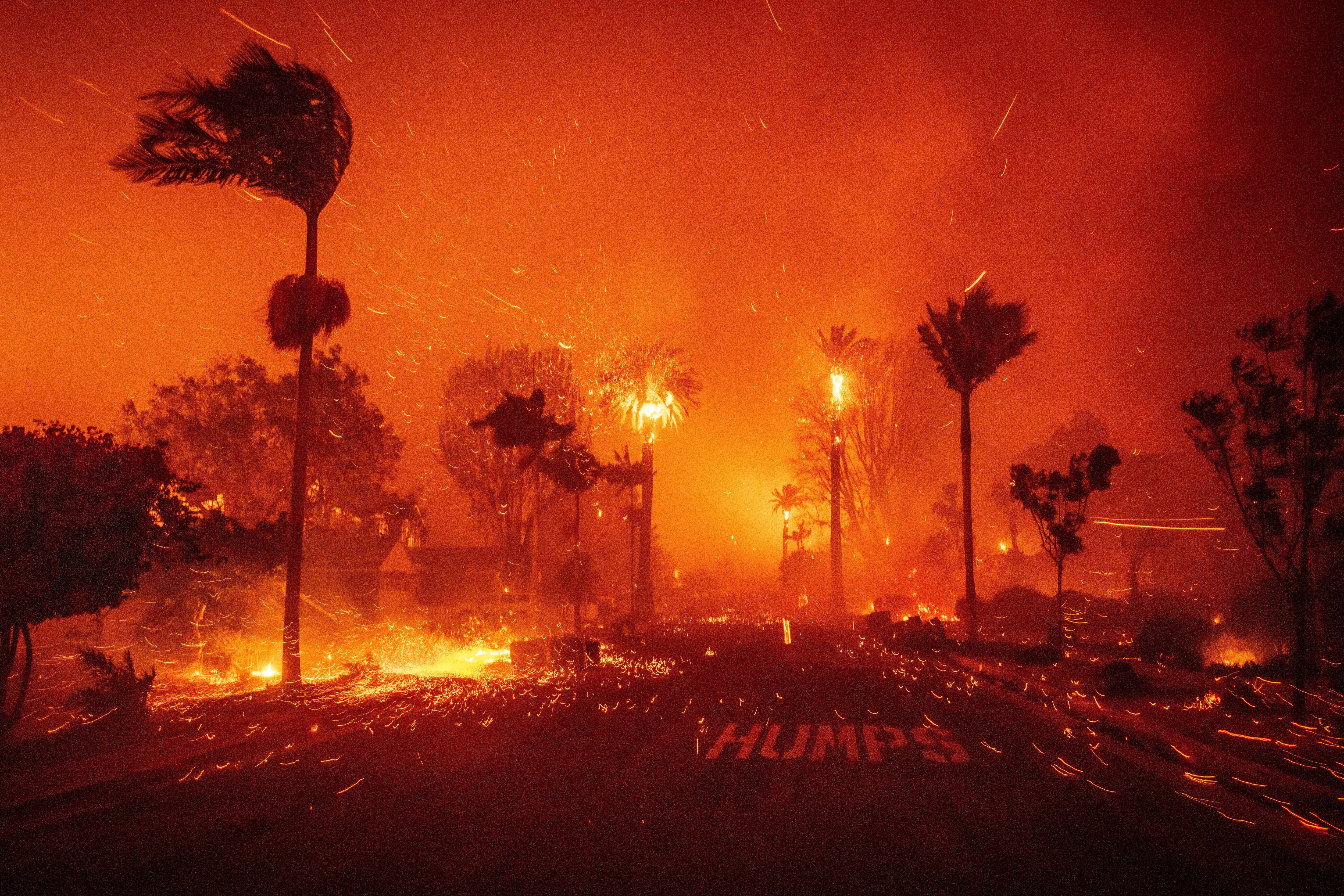 La iniciativa de las bolsas en los Premios Oscar tiene la intención de ayudar a los damnificados por los incendios en Los Ángeles (AP Foto/Ethan Swope)