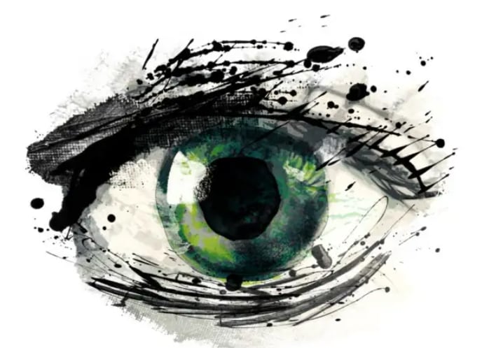 La sensibilidad a la luz de la retina humana es consecuencia de la evolución.