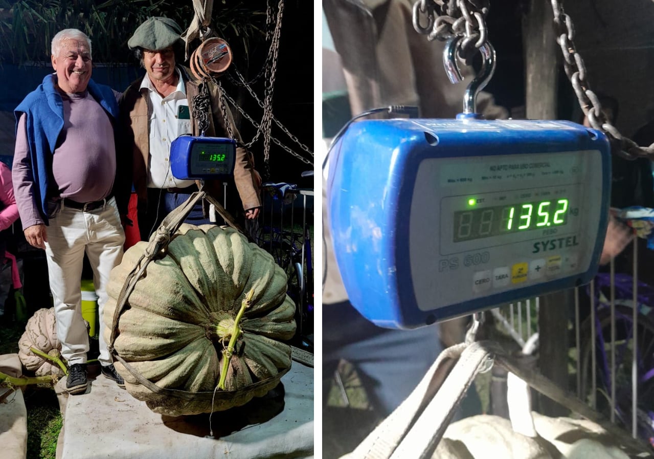 El momento en que el zapallo fue presentado y pesado durante el aniversario de Alejandro Roca