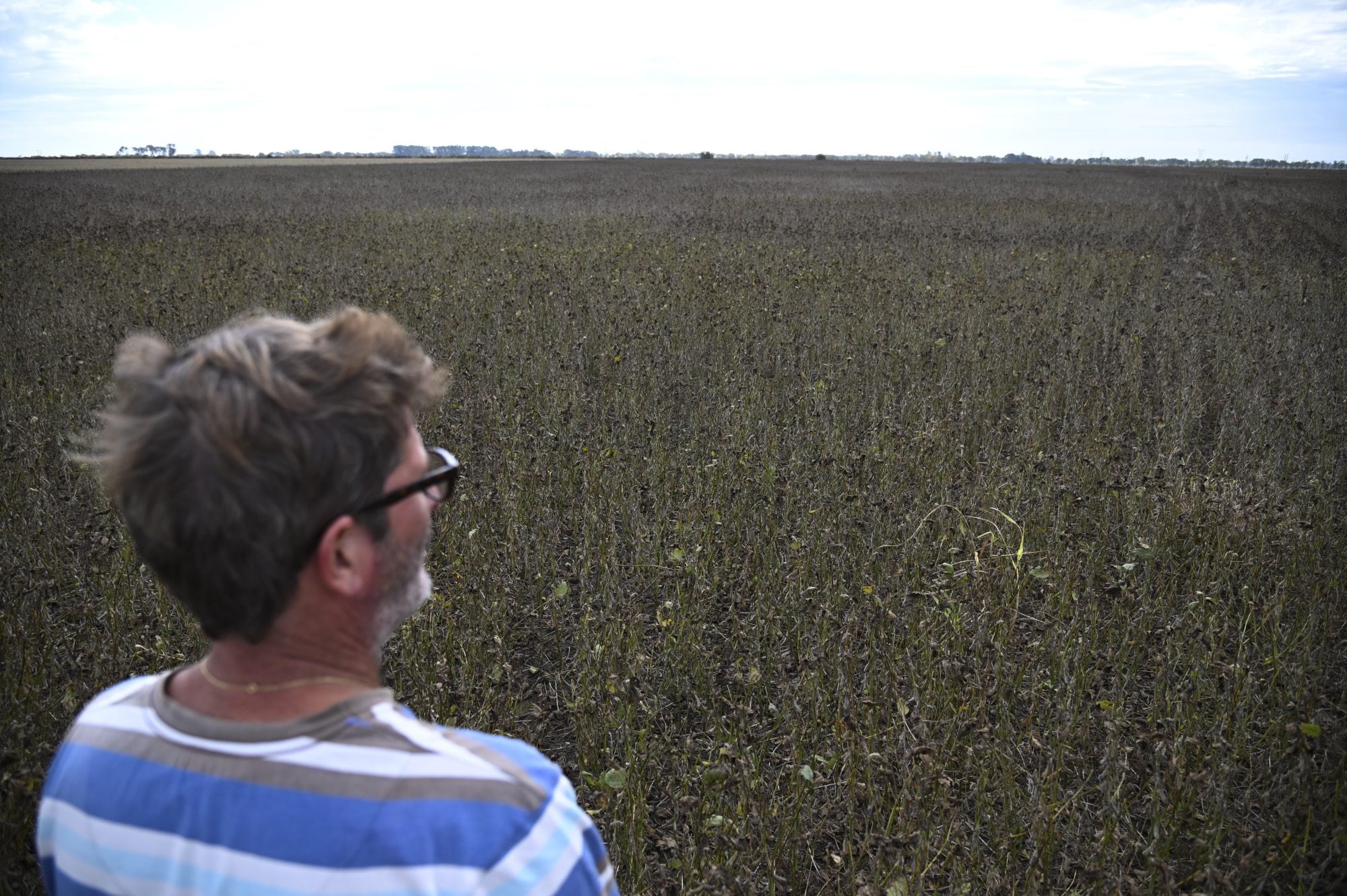 “Los días no acompañan”: las lluvias no dan tregua y los productores no pueden acelerar la cosecha de soja 10 El productor agropecuario Marcelo Bengoechea de la zona de Roldán: “La planta está verde y sale con humedad. Los días no acompañan y va lento porque hay muy poca gente cosechando”