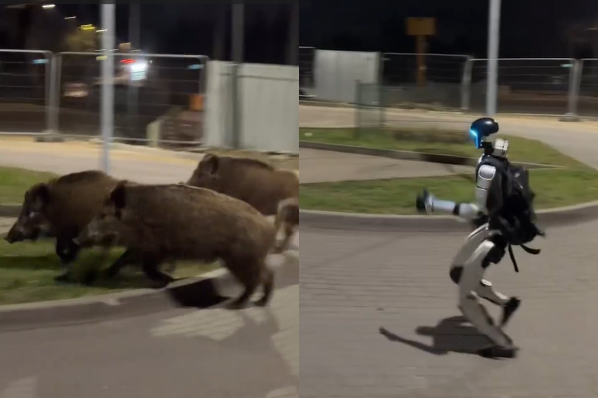 “Terminator 1″: en Polonia le encontraron una insólita solución a un tema que preocupa en la Argentina