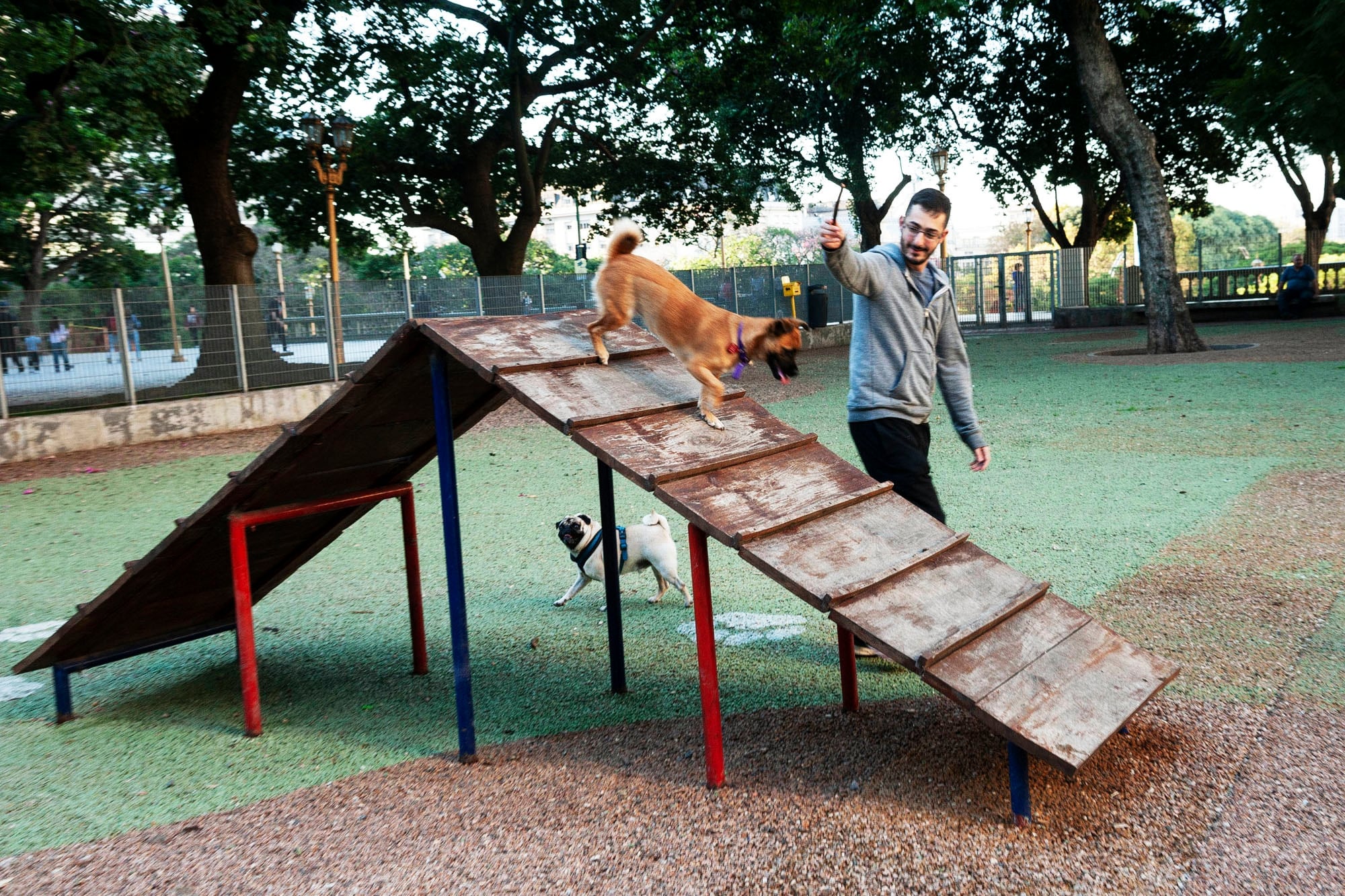 Hay plazas en CABA donde se crearon caniles especiales para el disfrute de los perros