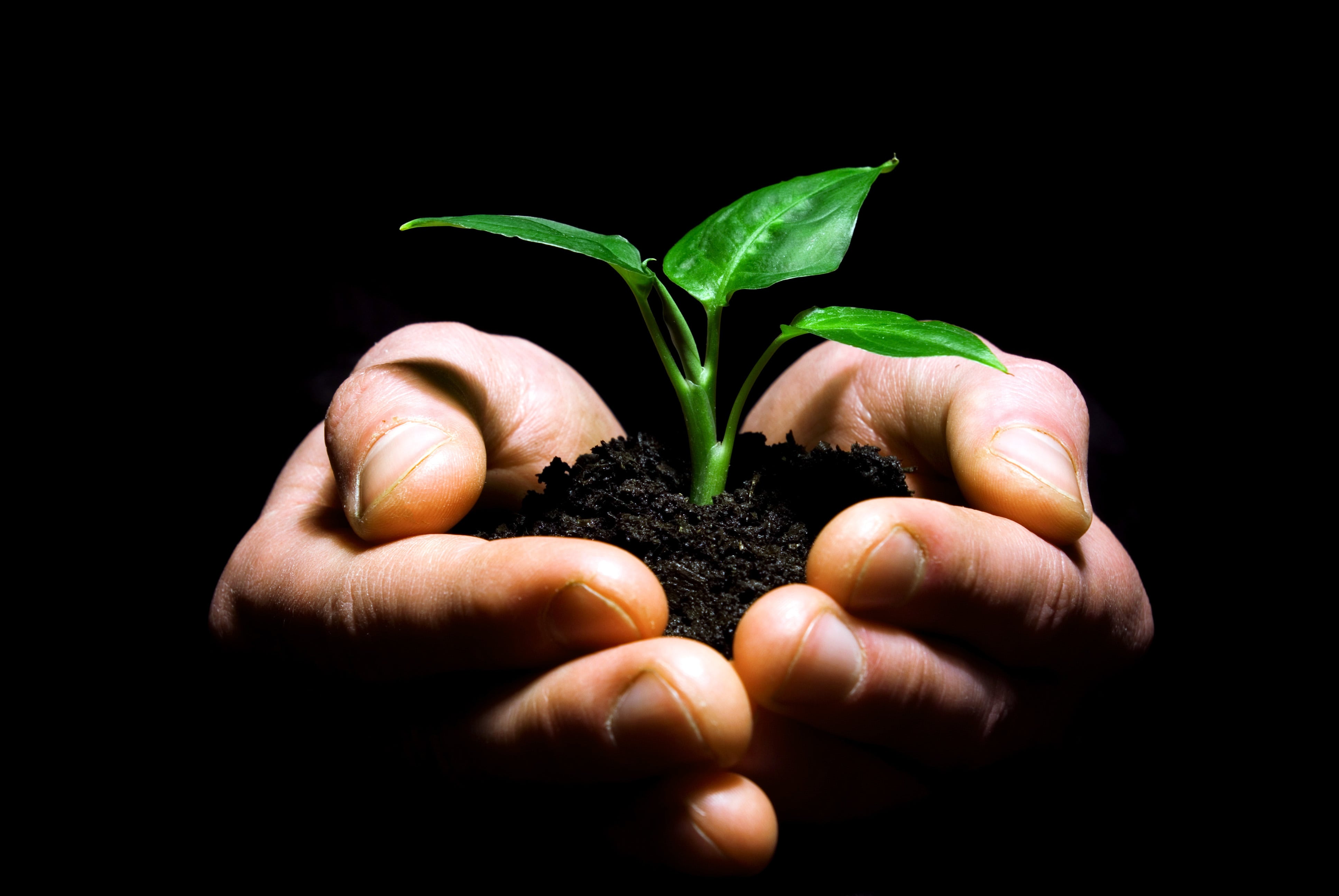 La calidad de nuestra clase dirigente