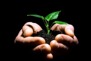 La calidad de nuestra clase dirigente