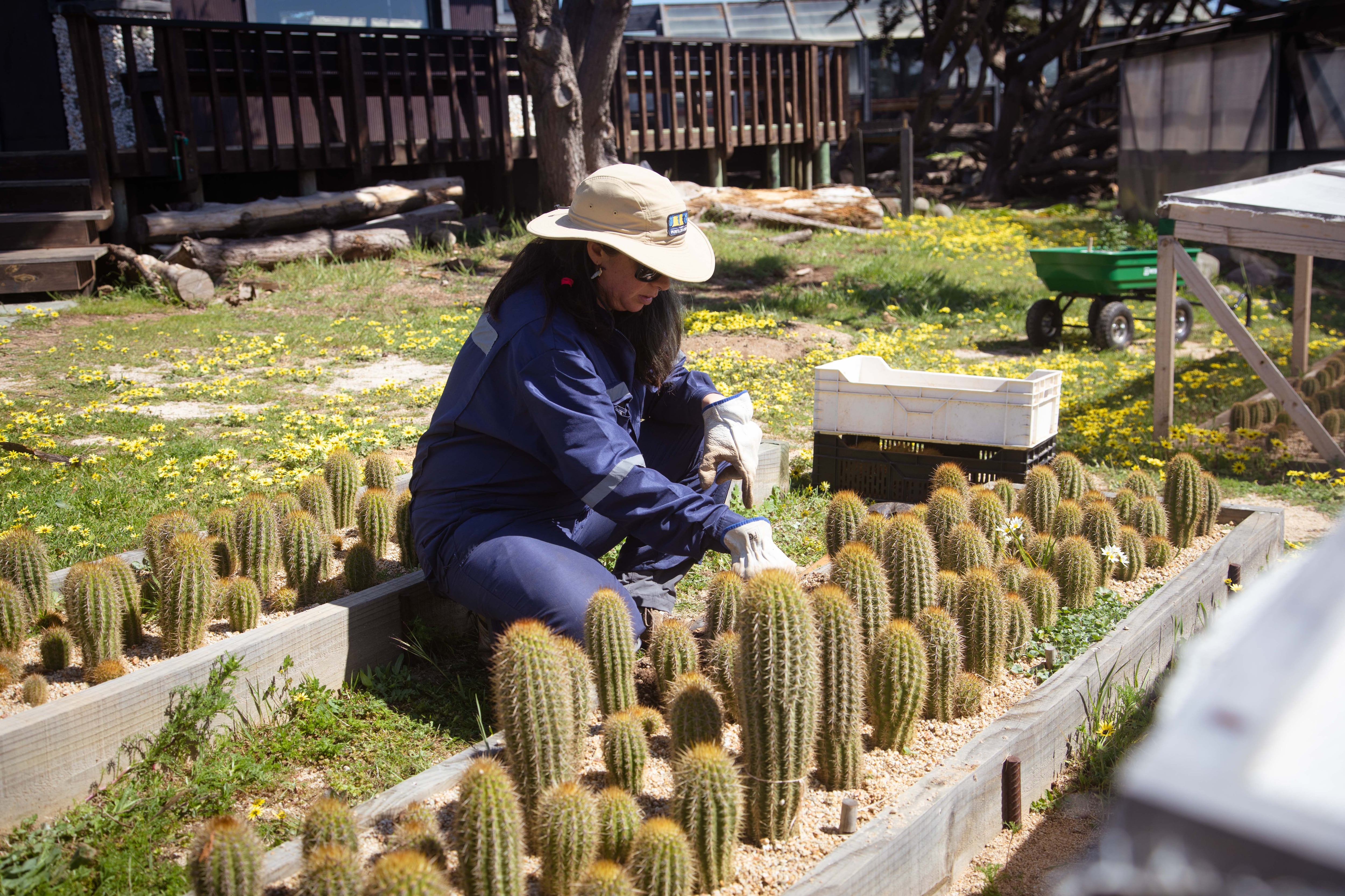 Nona Caracciolo, una de las guardaparques de Punta de Lobos